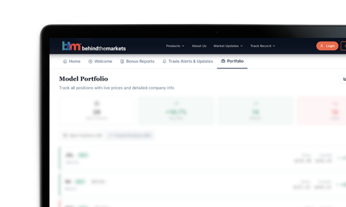 Model Portfolio screenshot